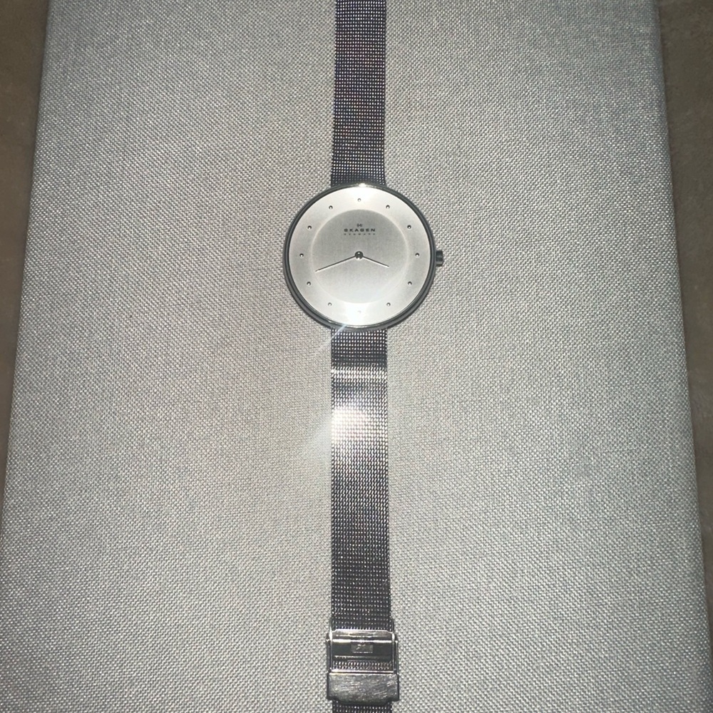 Skagen SKW2140 Gitte Women’s Silver Mesh Watch